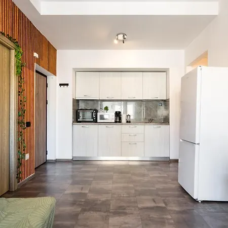 דירה 3 Boho Haven Calea Victoriei בוקרשט